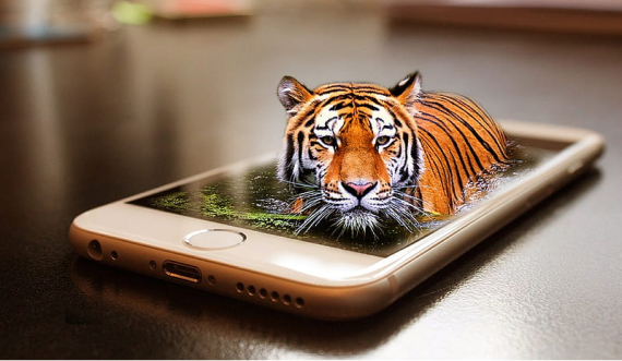 Mobile App Development